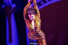 Magic Circus - 2018