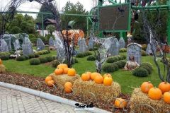 Magic Halloween - 2015