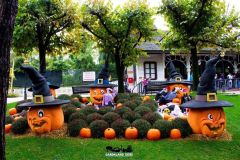 Magic Halloween - 2016