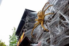 Magic Halloween - 2016