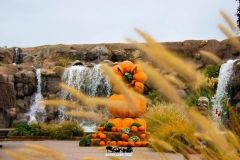 Magic Halloween - 2016