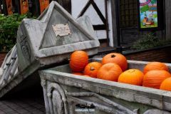 Magic Halloween - 2016