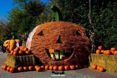 Magic Halloween - 2016