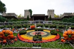 Magic Halloween - 2016