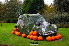 Magic Halloween - 2016