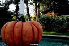 Magic Halloween - 2016