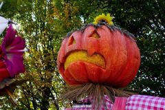 Magic Halloween - 2016