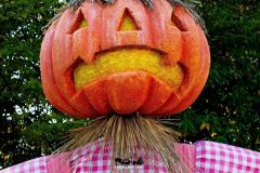 Magic Halloween - 2016