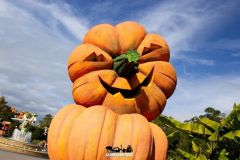Magic Halloween - 2016