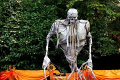 Magic Halloween - 2017