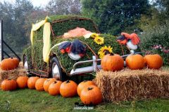 Magic Halloween - 2018