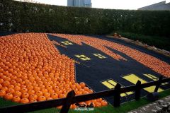 Magic Halloween - 2018