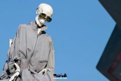Magic Halloween - 2018