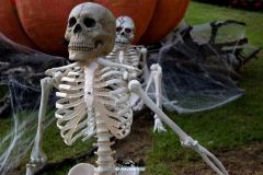 Magic Halloween - 2018