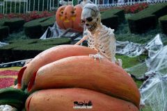 Magic Halloween - 2018