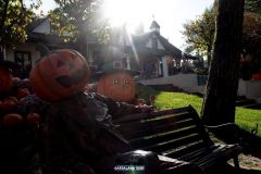Magic Halloween - 2018