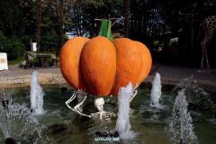 Magic Halloween - 2018
