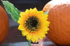 Magic Halloween - 2018