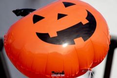 Magic Halloween - 2018