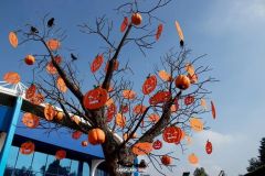 Magic Halloween - 2018