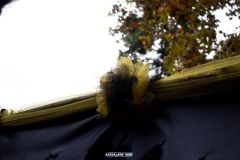 Magic Halloween - 2018