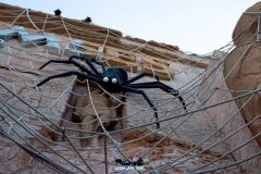 Magic Halloween - 2018