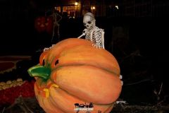Magic Halloween - 2018