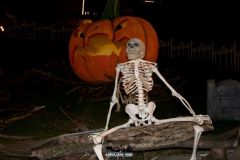 Magic Halloween - 2018