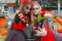 Magic Halloween - 2018