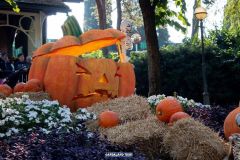 Magic Halloween - 2019