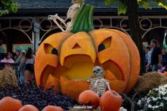 Magic Halloween - 2019