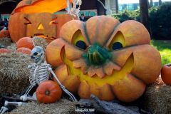 Magic Halloween - 2019
