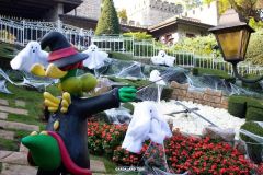 Magic Halloween - 2019