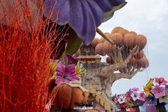 Magic Halloween - 2019