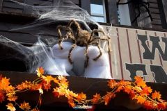 Magic Halloween - 2019