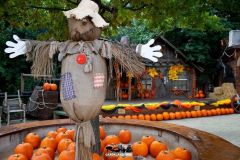 Magic Halloween - 2019