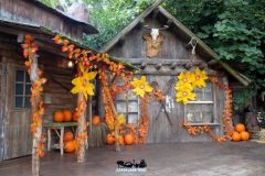 Magic Halloween - 2019