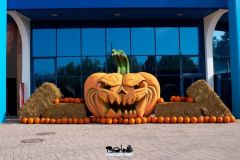 Magic Halloween - 2019