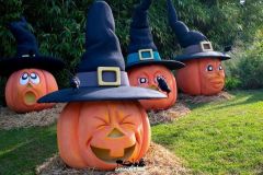 Magic Halloween - 2019