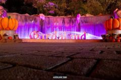 Magic Halloween - 2019