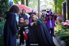 Magic Halloween - 2019