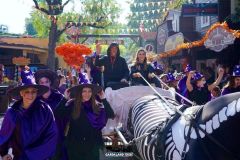 Magic Halloween - 2019