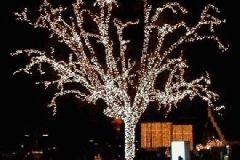 Magic Winter - 2005