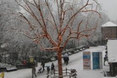 Magic Winter - 2005
