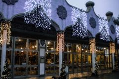 Magic Winter - 2010