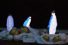Magic Winter - 2013