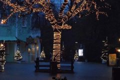 Magic Winter - 2013
