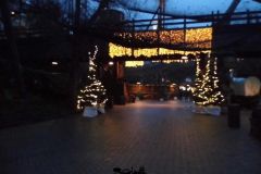 Magic Winter - 2013