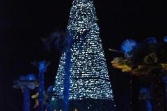 Magic Winter - 2013