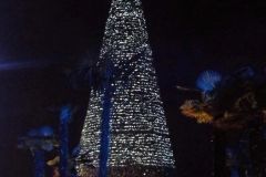Magic Winter - 2013